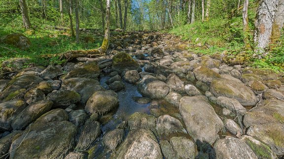  Ikars Kubliņš, PhotoRiga.com