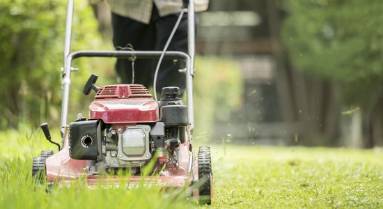 Īstais pirkums un pareiza ikdienas lietošana – zāles pļāvēja izlūkos