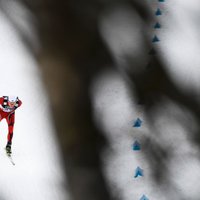 Новый скандал в лыжных гонках: норвежских и шведских лыжников подозревают в мошенничестве