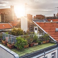 Dabas ienākšana starp pilsētas mūriem – jumta dārzi un to specifika