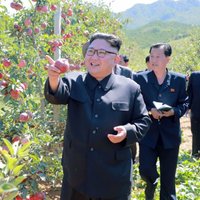 Foto: Kims Čenuns Ziemeļkorejā novērtē brangi padevušos ābolu ražu