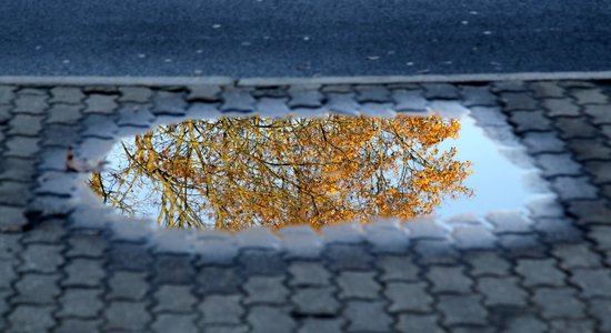 Во вторник в Латвии местами ожидается кратковременный дождь