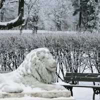 Parku uzturēšanai Rīgas dome šogad atvēlēs ap 400 tūkstošiem eiro