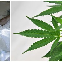 Борьба с болью и депрессией. Когда в Латвии легализуют медицинскую марихуану?