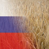 Vienojas ES līmenī noteikt papildu tarifus lauksaimniecības produktu importam no Krievijas un Baltkrievijas