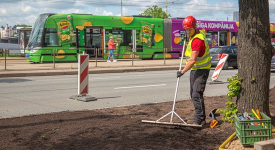 Foto: Rīgā likvidē nelikumīgu autostāvvietu; tur ierīko koku apdobes