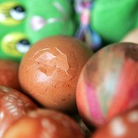 В Латвии ликвидирован дефицит белых яиц