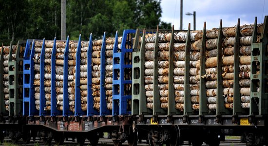 Baltkrievijas koksne caur Vidusāziju joprojām nonāk ES un Latvijā, secināts pētījumā