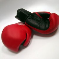 Britu boksa čempionam pēc cīņas izraisa mākslīgo komu