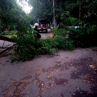 Foto: Iļģuciemā koks uzgāžas automašīnai