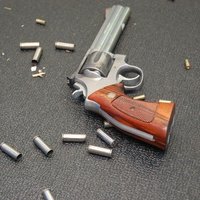 ASV, rotaļājoties ar ieroci, nošaujas trīsgadīgs puisēns