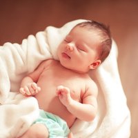Большой выход в свет: как мозг ребенка готовится к рождению