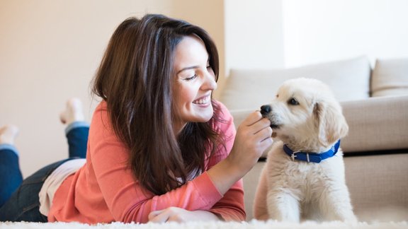 love,small,friendship,woman,young,happy,cute,house,domestic,beautiful,hair,retriever,white,friend,golden,hispanic,latin,female,pet,sofa,attractive,girl,portrait,people,room,home,lifestyle,puppy,person,animal,adult,family,dog,sitting,care