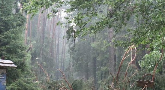 Lielo vētras postījumu dēļ līdz nedēļas nogalei slēdz dabas parku Tērvetē