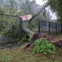 Vētra posta Latviju – VUGD jau vairāk nekā 1000 izsaukumu; cietis viens glābējs (plkst.20.27)