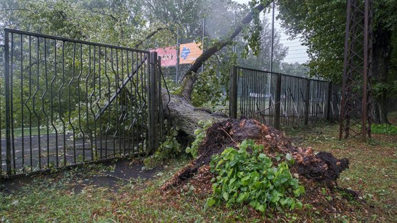 Vētras postījumi Pārdaugavā