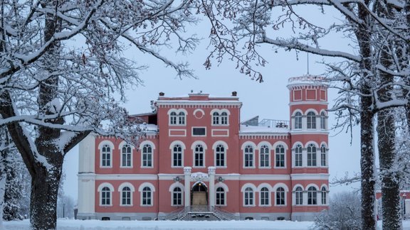 Ziemas pasaka Bīriņos - 28