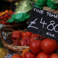 Овощной кризис: цены стабилизируются, магазины увеличивают закупки у местных крестьян