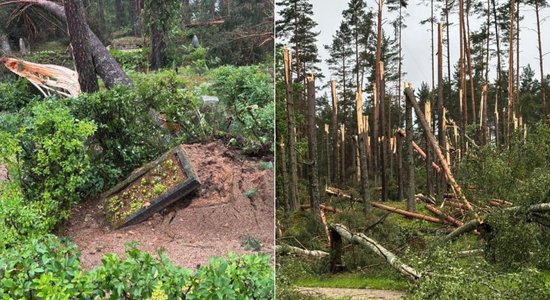 Фото: в Цесисе гроза нанесла урон кладбищу и поломала деревья в лесу