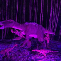 Продлить праздники: В Литве проходит Фестиваль светящихся динозавров