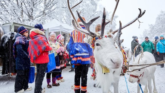 Ziemeļbrieži, Norvēģija, ziemas atpūta