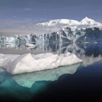 В Антарктике откололся гигантский айсберг