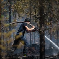 ФОТО: Как тушат горящие торфяники и лес в Талсинском крае