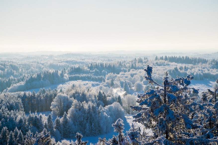 Uz Munameģi vērts braukt arī ziemā, un piecas citas idejas ziemas brīvdienām Igaunijā