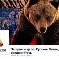 'Facebook' bloķē naidu kurinošu profilu 'Lietuva - smieklīgā kuce'