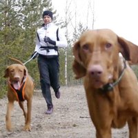 Sportošana kopā ar suni – vēlama vai bīstama