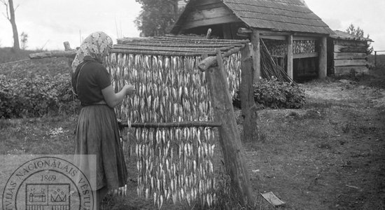 Ko latvietis ēda senāk. Trešais stāsts – gaļa, zivis, sēnes un savvaļas augi