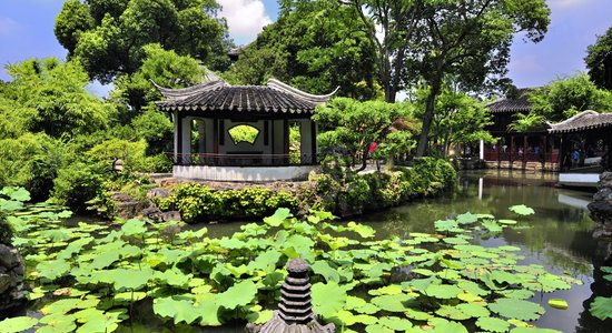 Lotosi, mandarīnpīles un bonsai kociņi – Neveiksmīgā politiķa dārzs Ķīnā