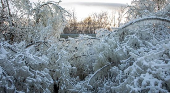 ФОТО. Зимняя сказка: Самый высокий водопад в Балтии покрылся льдом