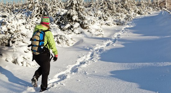 70 skolu pārstāvji Ekoskolu ziemas forumā diskutēs par atbildīgu pārtikas patēriņu