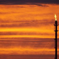 Нефтяники призвали мир готовиться к более низким ценам в 2016 году