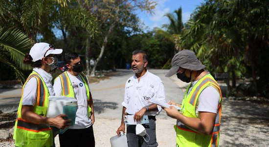 Ko savvaļā sadarīja ģenētiski modificēti odi? Floridā noslēdzies interesants pētījums