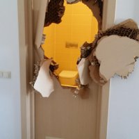 Бобслеист США застрял в ванне, пришлось выломать дверь