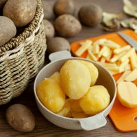 Nav kartupeļu, nav svētku: kādus izvēlēties rasolam, kādus cepšanai krāsnī