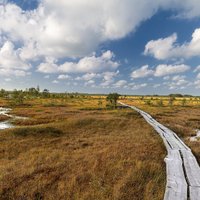 Dabas takas, torņi un tiltiņi: idejas zelta rudens baudīšanai pie Latvijas ezeriem