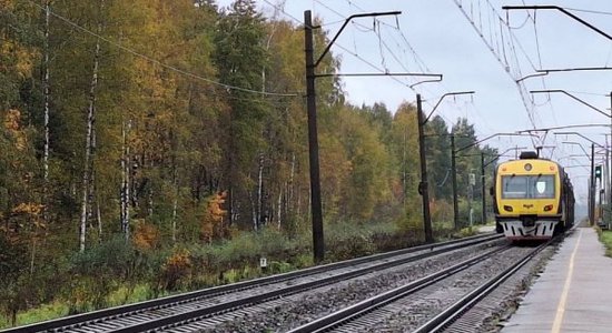 Вице-мэр Ратниекс: железнодорожные станции "Румбула" и "Дарзини" нужно сохранить