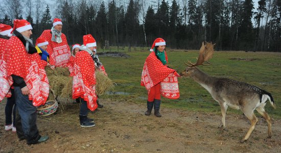 Vēlies pabūt Ziemassvētku vecīša rezidencē? Brauc uz 'Dimantu kalnu'