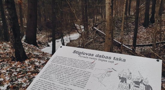 ФОТО. Природная тропа вдоль Стигловского оврага, длиной 2,4 километра