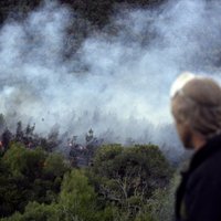 Пожар почти достиг границы Эстонии, в Мазсалацу направлены дополнительные силы