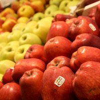 Сейм рассмотрит предложение СЗК сохранить сниженную ставку НДС на местные фрукты, ягоды и овощи