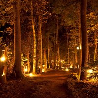 Uguns nakts Vienkoču parkā - uzlādējies, lai vieglāk sagaidīt pavasari