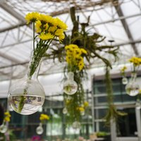 Svečturi un ziedu kompozīcijas: burvīgas stikla trauku izmantošanas variācijas