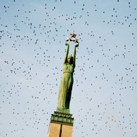 Manabalss.lv оценит инициативу о сносе памятника Свободы