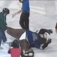Video: saniknots hokeja fans uzbrūk komandas talismanam – murkšķim