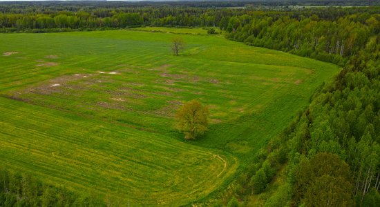 'Trekno' gadu līmeni darījumos ar zemi pārspējuši tikai mežu īpašumi, lēš 'Latio'