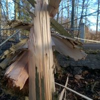 Foto: Nogāzti koki un krītošs apmetums – stiprā vēja radītie postījumi Latvijā